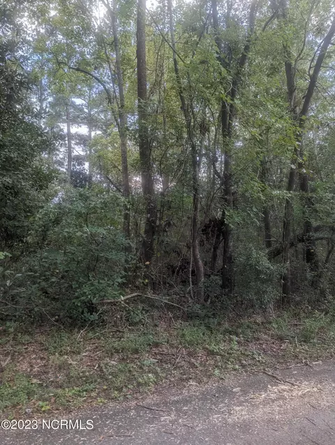 0 S Alderman St, Atkinson, NC 28421