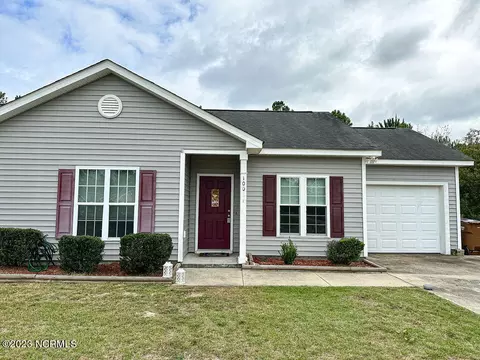 100 Courtney Pines Rd, Maple Hill, NC 28454