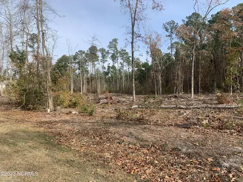tbd Wetherington Landing Rd, Stella, NC 28582