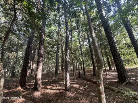 Tr B Willard Lane Sw, Shallotte, NC 28470