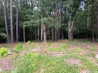 lot64 Hughes Rd, Hampstead, NC 28443