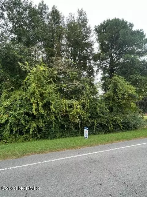 0 Us 421, Willard, NC 28478 photo 3