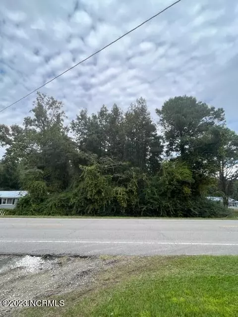 0 Us 421, Willard, NC 28478 photo 2