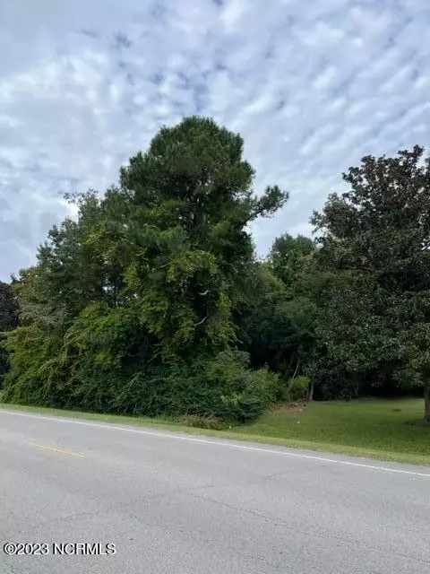 0 Us 421, Willard, NC 28478 photo 5