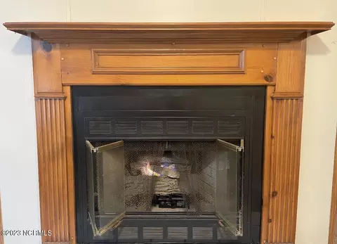 290 Mary St, Chocowinity, NC 27817 photo 8