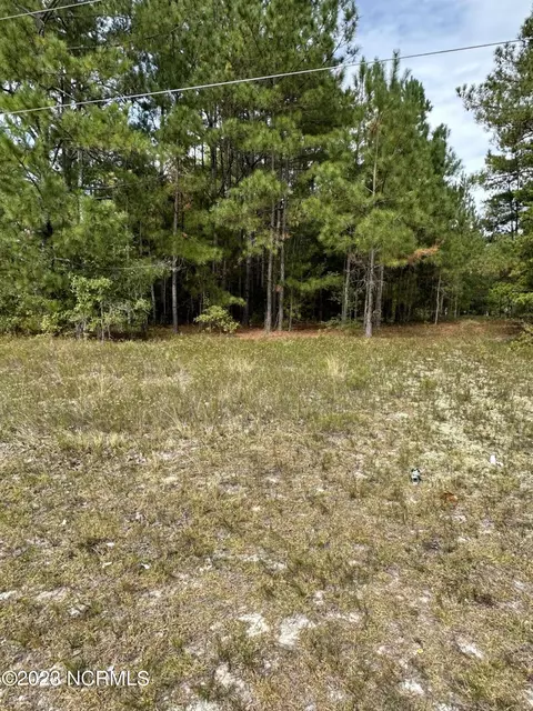 165 Blues Bridge Rd, Hoffman, NC 28347 photo 2