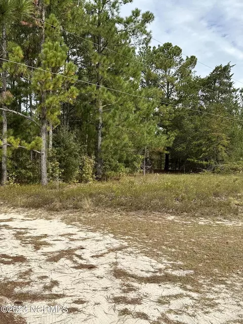 165 Blues Bridge Rd, Hoffman, NC 28347 photo 3