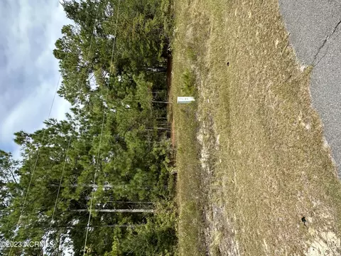 165 Blues Bridge Rd, Hoffman, NC 28347