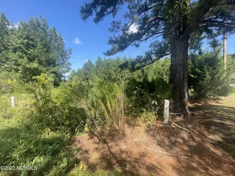 Undisclosed, Gates, NC 27937 photo 3