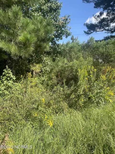 Undisclosed, Gates, NC 27937 photo 2