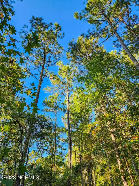 lot96 Mcgowan Rd, Bath, NC 27808 photo 18