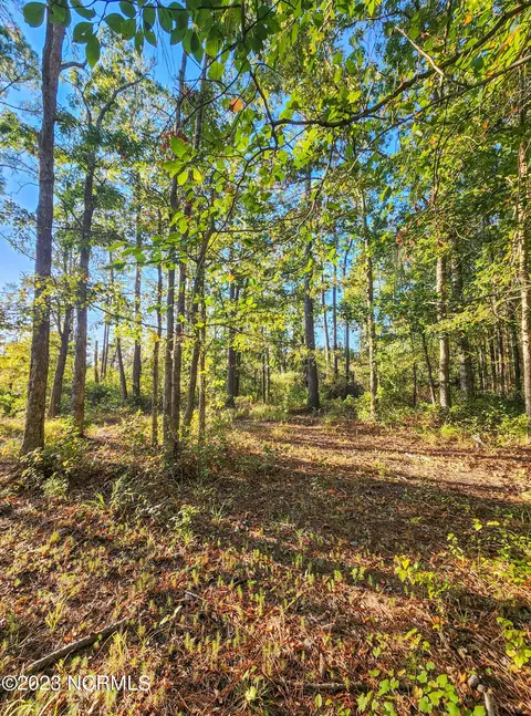 lot96 Mcgowan Rd, Bath, NC 27808 photo 11
