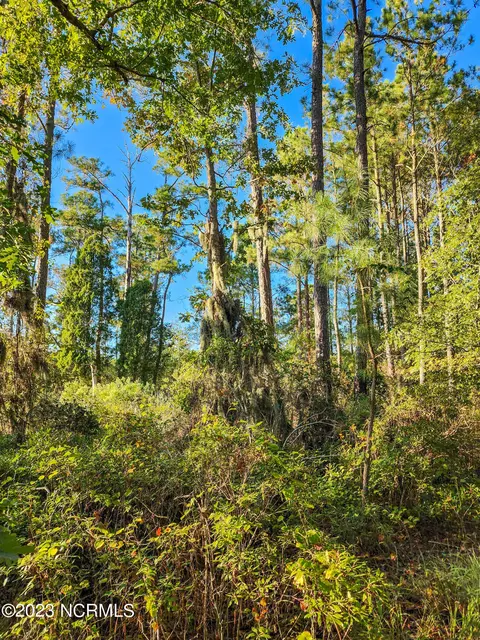 lot96 Mcgowan Rd, Bath, NC 27808 photo 13