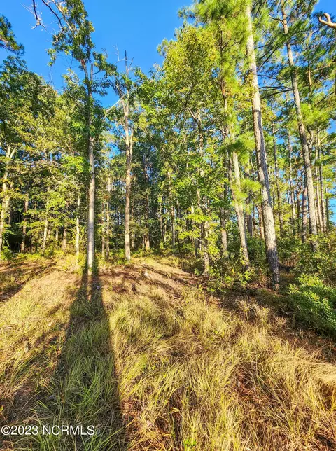 lot96 Mcgowan Rd, Bath, NC 27808 photo 10