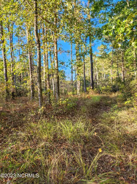 lot96 Mcgowan Rd, Bath, NC 27808 photo 19
