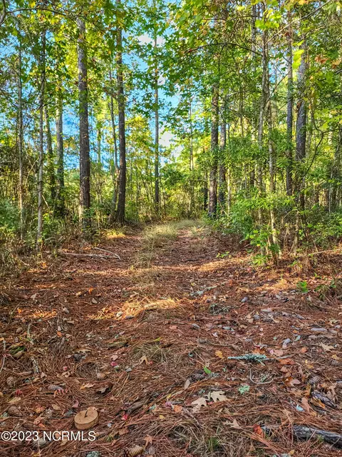 lot96 Mcgowan Rd, Bath, NC 27808 photo 16