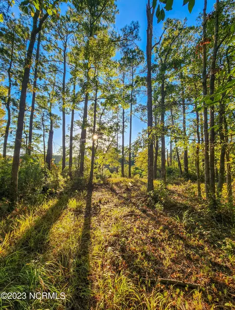 lot96 Mcgowan Rd, Bath, NC 27808 photo 12