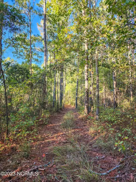 lot96 Mcgowan Rd, Bath, NC 27808 photo 17