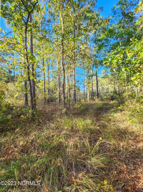 lot96 Mcgowan Rd, Bath, NC 27808 photo 20