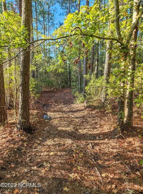 lot96 Mcgowan Rd, Bath, NC 27808 photo 15