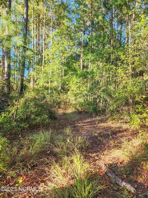 lot96 Mcgowan Rd, Bath, NC 27808 photo 14