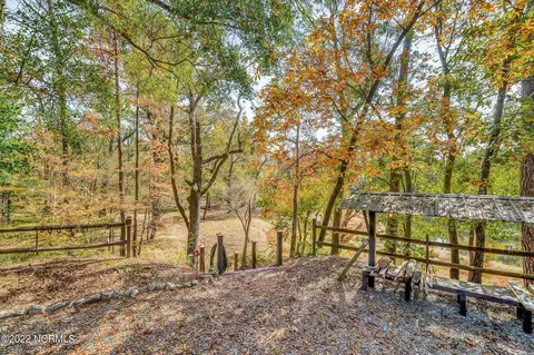 248 N River Bluff Dr, Willard, NC 28478 photo 25