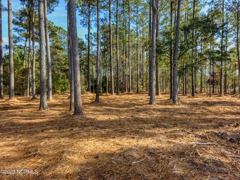 10 Sessom Rd, Scranton, NC 27875 photo 10