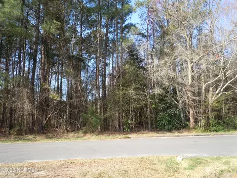 104 Pine St, Tabor City, NC 28463