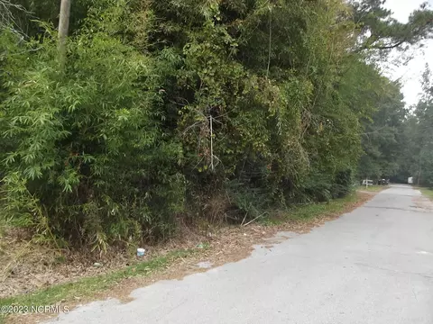 10 Poplar St, Wallace, NC 28466