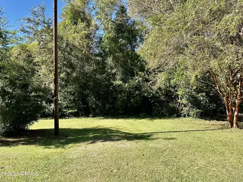 713 Conway Rd, Fair Bluff, NC 28439 photo 34