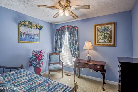 Undisclosed, Faison, NC 28341 photo 21