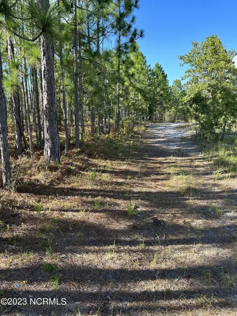 401 Elgin Rd, Hubert, NC 28539 photo 9