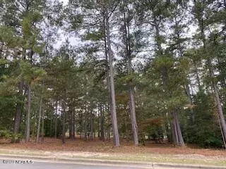 343 Meyer Farm Dr, Pinehurst, NC 28374 photo 1