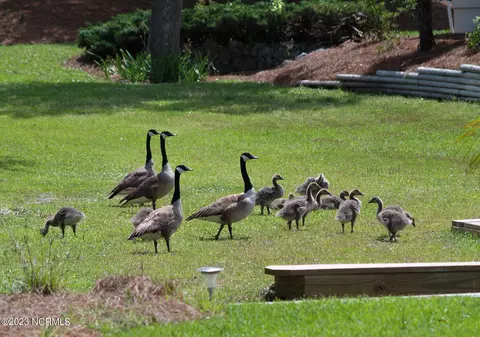 Other - 205 Windjammer E, Emerald Isle, NC 28594 photo 12 of 12