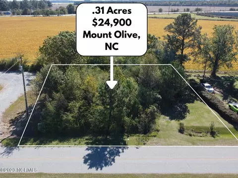369 Daughtery Field Rd, Mount Olive, NC 28365
