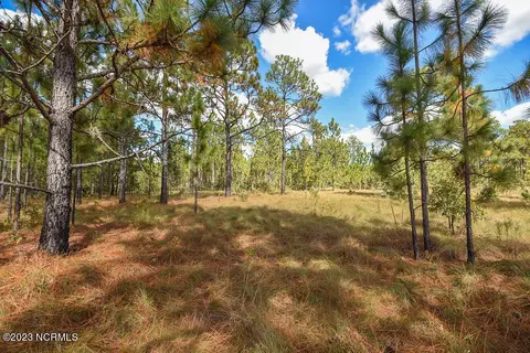 325 Meredith Ln, West End, NC 27376