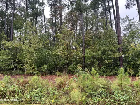 1121 Echo Dr NE, Leland, NC 28451