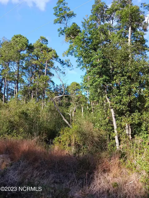 L-22 Bluebird Road, Boiling Spring Lakes, NC 28461