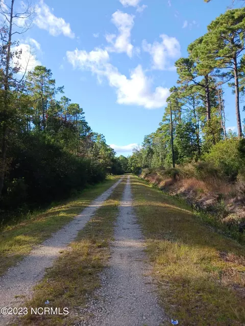 L-23 Bluebird Road, Boiling Spring Lakes, NC 28461