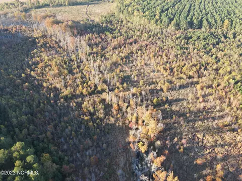 tbd 158 Hwy, Conway, NC 27820