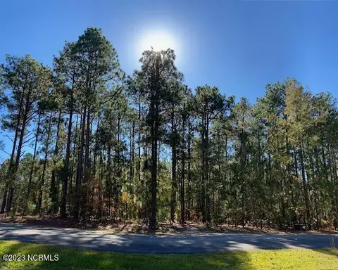 37 Wildlife Ln, Wagram, NC 28396