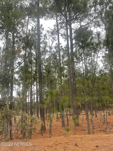 tbd Boyd Lake Rd, Hamlet, NC 28345 photo 2
