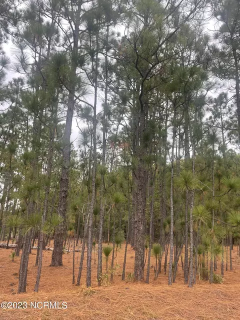 tbd Boyd Lake Rd, Hamlet, NC 28345 photo 3