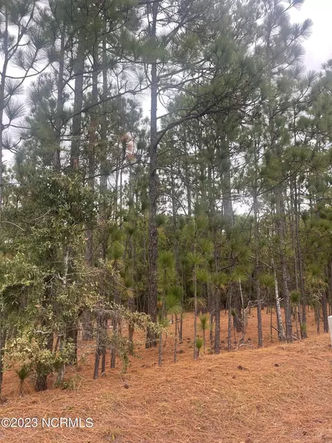 tbd Boyd Lake Rd, Hamlet, NC 28345