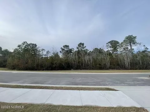 98 Streambed Way, Hampstead, NC 28443 photo 5