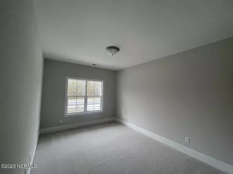 98 Streambed Way, Hampstead, NC 28443 photo 8