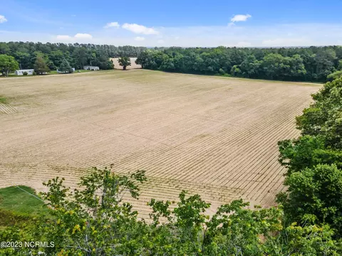 Tract #3 Pace Road, Bailey, NC 27807 photo 6