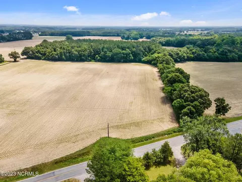 Tract #3 Pace Road, Bailey, NC 27807 photo 9