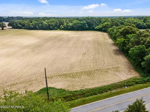 Tract #3 Pace Road, Bailey, NC 27807 photo 3