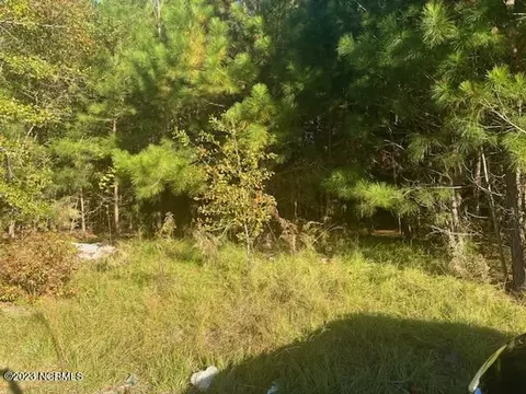 207 Mullins St, Princeville, NC 27886